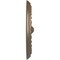 Ekena Millwork Foster Shell Ceiling Medallion (Fits Canopies up to 9 5/8"), 15 3/4"OD x 2"P, Warm Silver CM15FOWSS - alternate 2